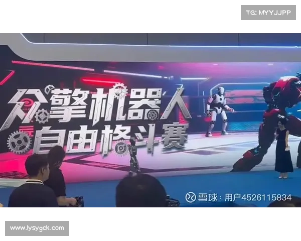 全面剖析全球格斗赛事经济效益 探究哪个组织收入最高盈利称王