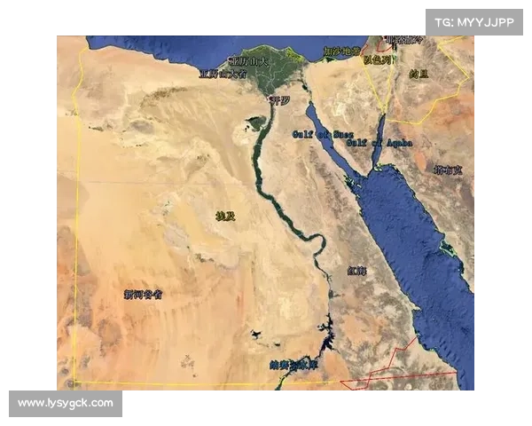 埃及还有赛事吗 埃及能进季后赛吗