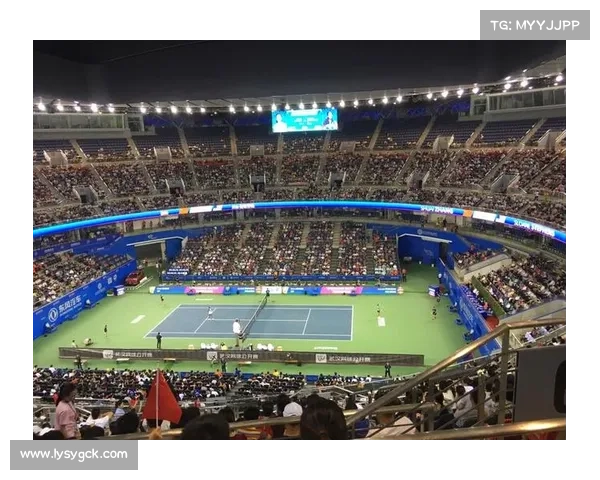 武网是什么意思