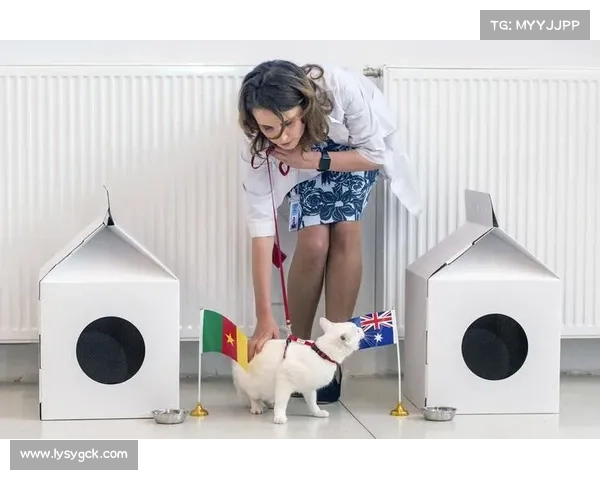 阿喀琉斯最新赛事预测深度解析胜负关键与未来展望